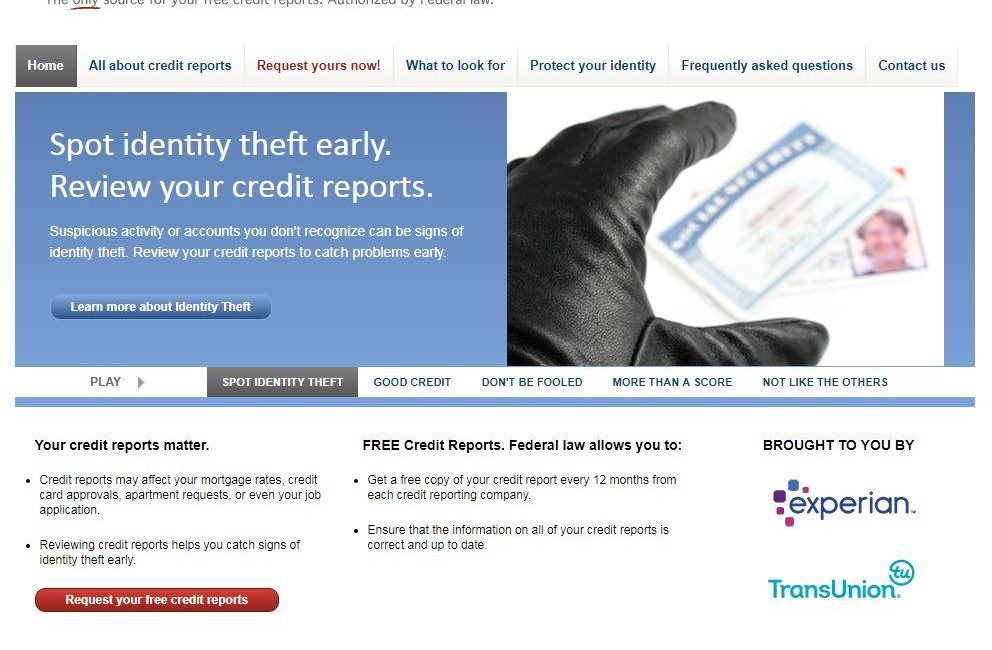 Credit Report